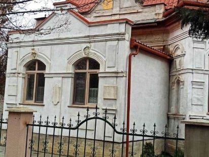 Великий будинок подобово Берегово