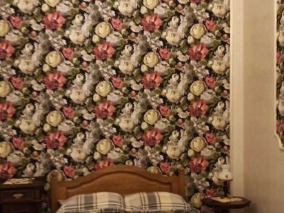 Частина вілли з окремим входом та вигодами Берегове