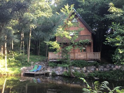 Коттедж сдается в аренду посуточно или понедельно Коростишів