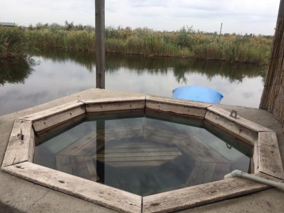 Дом. Банный ЧАН.  Баня. Катапульта Блоб 10 метров. Пляж.. Дніпро