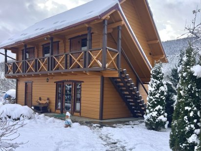 Котедж в Карпатах Микуличин