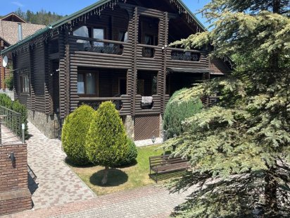 Будинок в горах Карпати Мигово Мигове