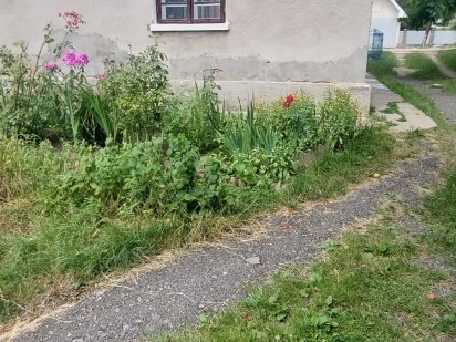 Однокімнатна квартира в цегляному двоповерховому будинку