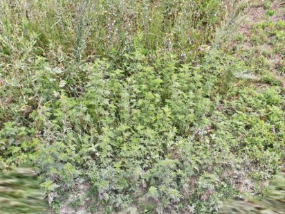 10 соток в фонтанке Фонтанка