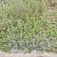 10 соток в фонтанке Фонтанка