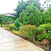 5ти комн ДОМ с видом на МОРЕ Фонтанка