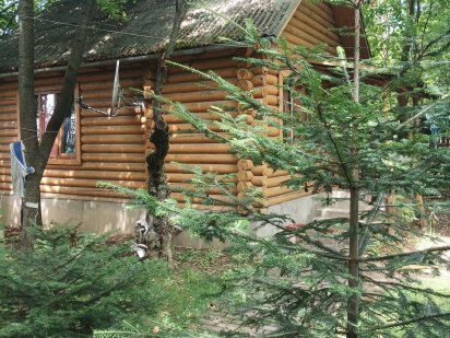 Здається будинок-сруб в затишному місці. Мукачево