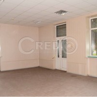 Продаж приміщення, вул. П. Калнишевського, Ц.-Міський р-н Кривий Ріг