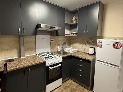 Подобова оренда квартири біля термальних басейнів житло апартаменти Берегове