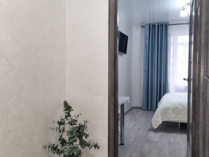 Квартира смарт посуточно. Чисто и уютно. Дом Офицеров  фонтан "Roshen" Винница