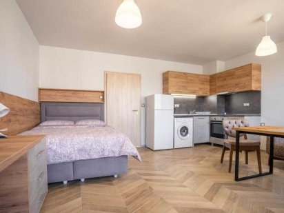 Апартаменты 2-местные посуточно возле ЖД Вокзала, м. Университет. Київ