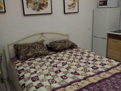 450/сутки! Реальная новая квартира-студия, центр Харькова м.Научная Харьков