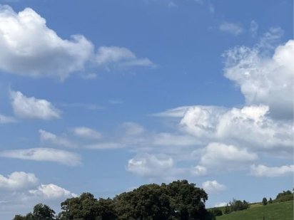 Оренда подобово сауна, басейн Давидів