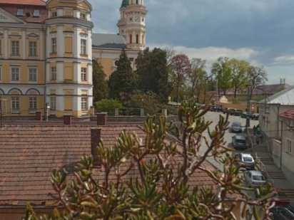 Ексклюзивна велика квартира Ужгород