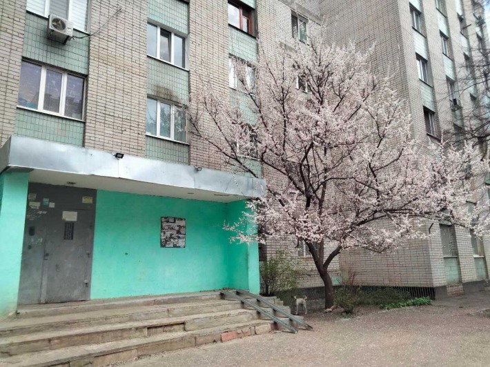 метро Академика Павлова  продам комнату в блоке - фото 1