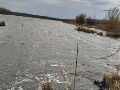 Продається земельна ділянка біля водойми та лісу Белая Церковь