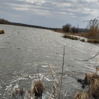 Продається земельна ділянка біля водойми та лісу Белая Церковь