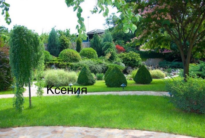 Современный дом на фонтане с бассейном в кооперативе - фото 1