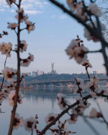 Оренда кімнати для жінки - фото 1