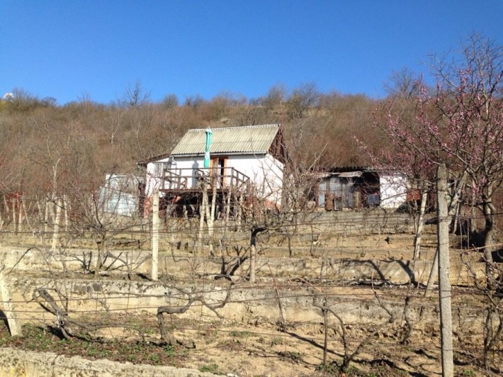 Продам дачу в Виноградові - фото 1