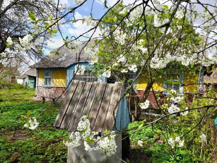 Будинок в с. Сереховичі разом з паями - фото 1