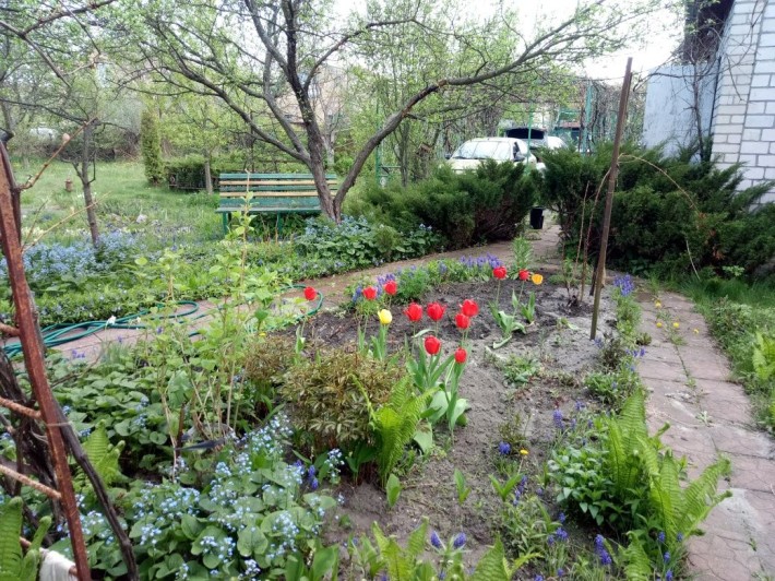 Дача. с.Ровжи. Вишгородський р-он. СТ-Патріот діл. 10 сот. - фото 1