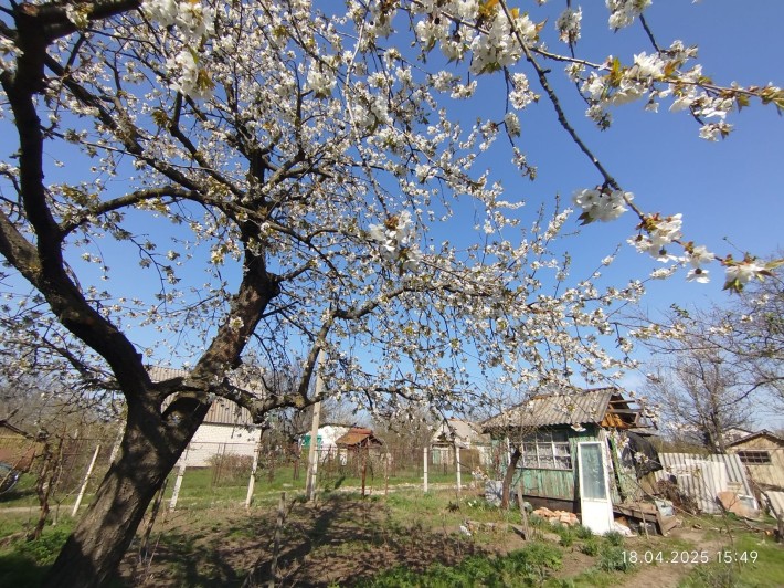 Дача. Царське село. Приватизована. - фото 1
