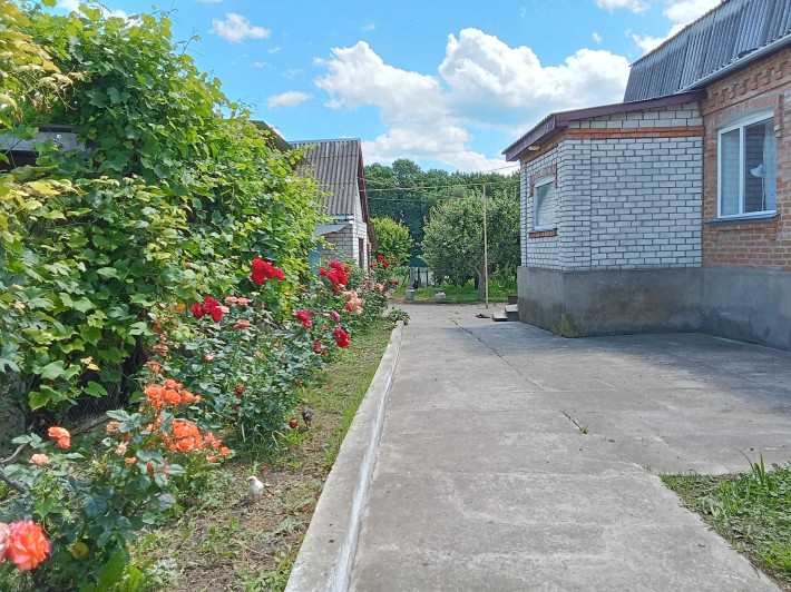 Продам Будинок. Дібрівка. Хмільник - фото 1