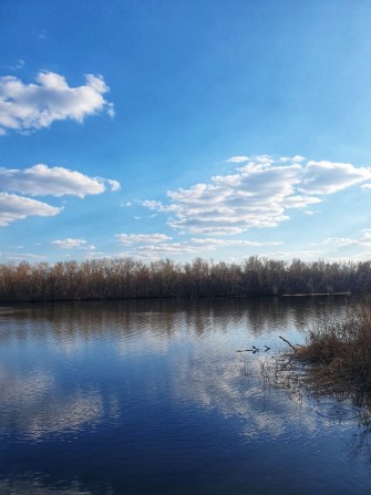 Продам будинок  в Обухівці , поруч  ліс, річка - фото 1