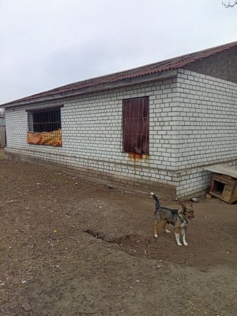 Продам два дома,Новомосковский р-н,с.Орловщина - фото 1