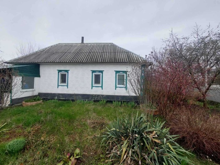 ПРОДАЖ будинку з ділянкою 25 соток (с. Єлизаветівка) - фото 1
