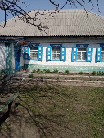 Продам дом в с. Елизаветовка - фото 1