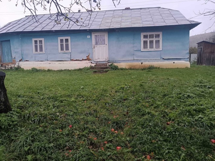 Продається будинок в смт. Битків - фото 1