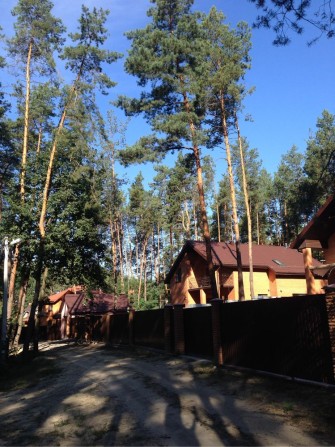Дом в лесу Белогородка - фото 1