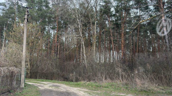 Купуйте вже мою дачу, бо зніму об'яву - фото 1