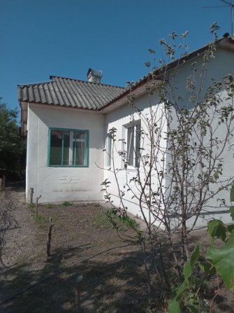Продам будинок в с.Лебедівка , поруч з лісом і каналом р.Дніпро - фото 1