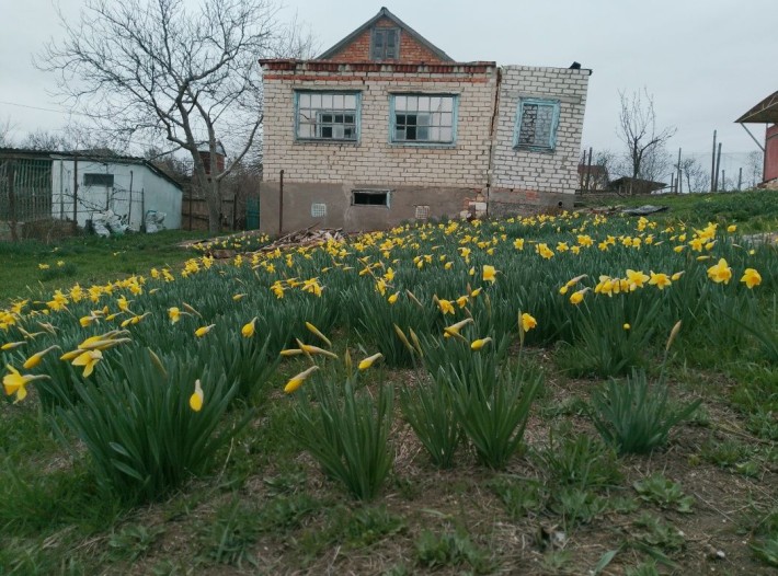 Продаю дачу в Николаеве - фото 1
