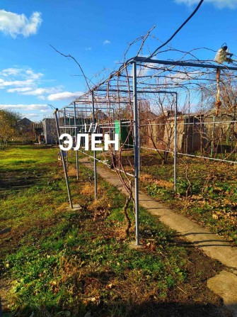 Светлое дачи, дом с сан/узлом, подвалом. Ухоженный участок. Гос. Акт. - фото 1