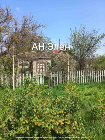 Светлое дачи, маленькая дачка под ремонт, участок, подсобками. - фото 1