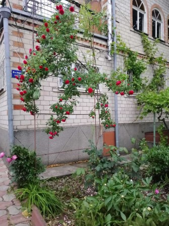 Дом в Нерубайском сторона лимана - фото 1