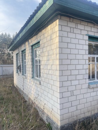 Будинок біля лісу 20 хвилин від Черкас - фото 1