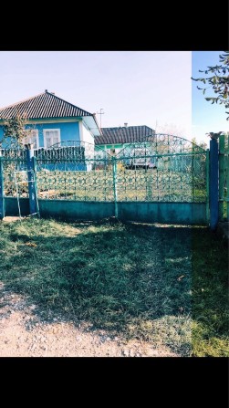 Продається господарство в с, долиняни. Хотинський рн, чернівецька обл. - фото 1