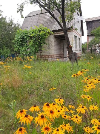 Продам Дачу в місті Чернігів ст Октябрьский р-н ЗАЗ - фото 1