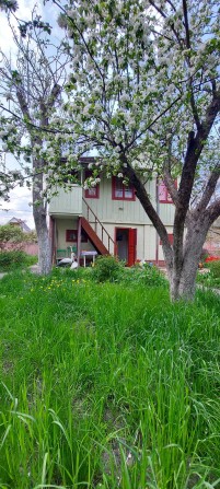 Продам дім з садом поряд річка Дніпро, озеро Міністерка та пляжі. - фото 1