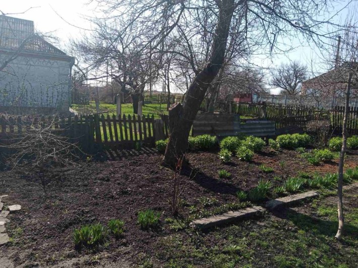 Будинок не далеко від міста з городом до річки - фото 1