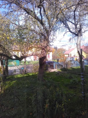Оренда 2 кімнатної квартири у Самбір по вул. Коперніка (центр) - фото 1