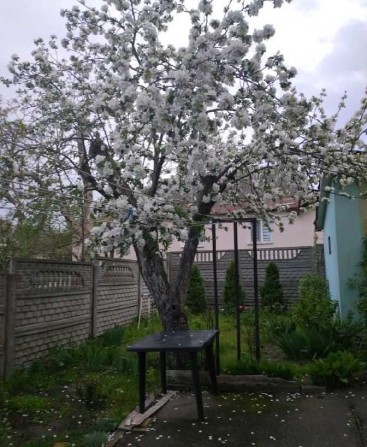 Прод. дома, Петропавл. Борщаговка, ул. Героев Украины (Гагарина) Без% - фото 1