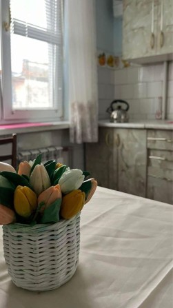 Одно кімнатна квартира оренда - фото 1