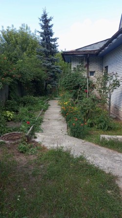 Здам окремий будинок - фото 1