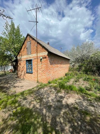 Оренда будинку Юрівка, зручності на вулиці. - фото 1